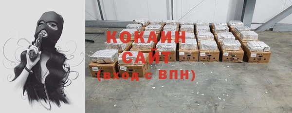 крисы Алзамай