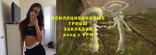 не бодяженный Алексин