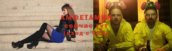 сатива Алексеевка