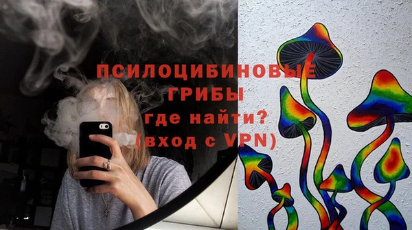 сатива Алексеевка