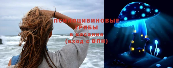 сатива Алексеевка