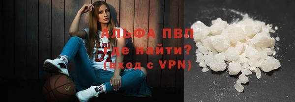 крисы Алзамай