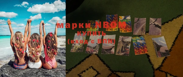 крисы Алзамай