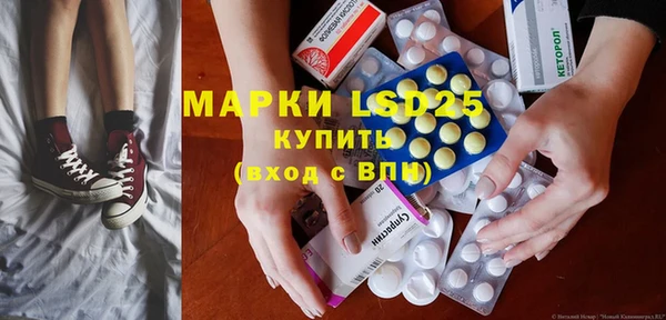 крисы Алзамай